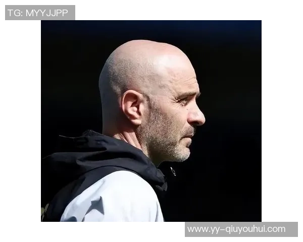 水晶宫冬窗计划引进博伊转会费预计达1300万英镑